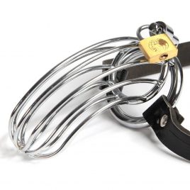 Fetish Fantasy Extreme The Prisoner Cock Cage
