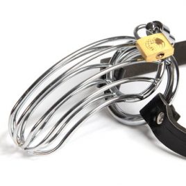 Fetish Fantasy Extreme The Prisoner Cock Cage