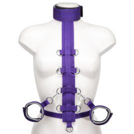 Purple Reins Beginners Restraint Harness