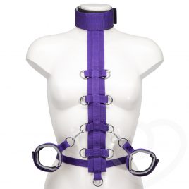 Purple Reins Beginners Restraint Harness