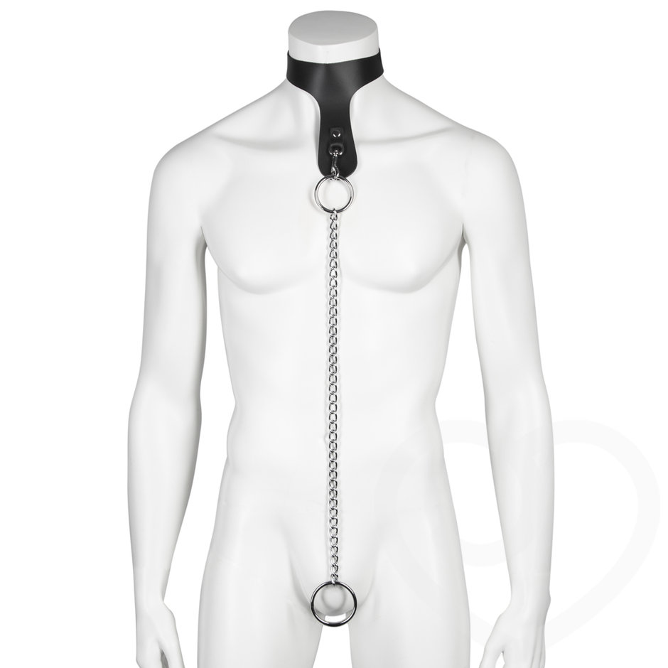 DOMINIX Deluxe Leather Collar with Cock Ring