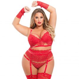 Lovehoney Plus Size Elixir Luxury Red Lace Bra Set (4 Piece)
