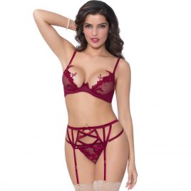 Seven ’til Midnight Wine Fishnet and Lace Bra Set