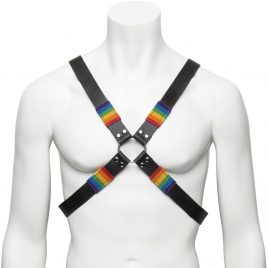 Bondage Boutique Rainbow and Leather Harness