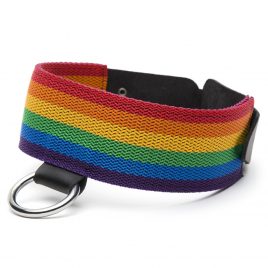 Bondage Boutique Rainbow and Leather Collar