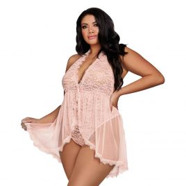 Dreamgirl Plus Size Pink Deep Plunge Lace and Mesh Teddy