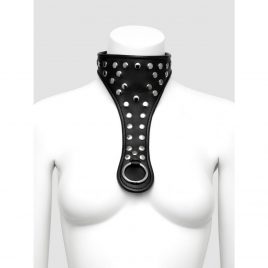 DOMINIX Deluxe Leather Studded Collar