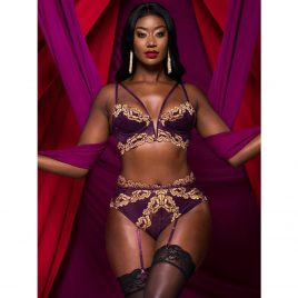 Lovehoney Parisienne Luxe Purple Lace Bra Set