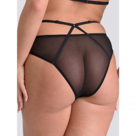 Lovehoney Black Sheer Mesh Brazilian Panties